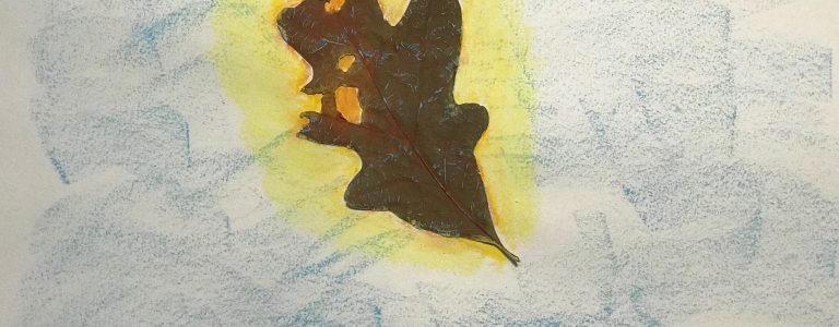 Story of Leaves